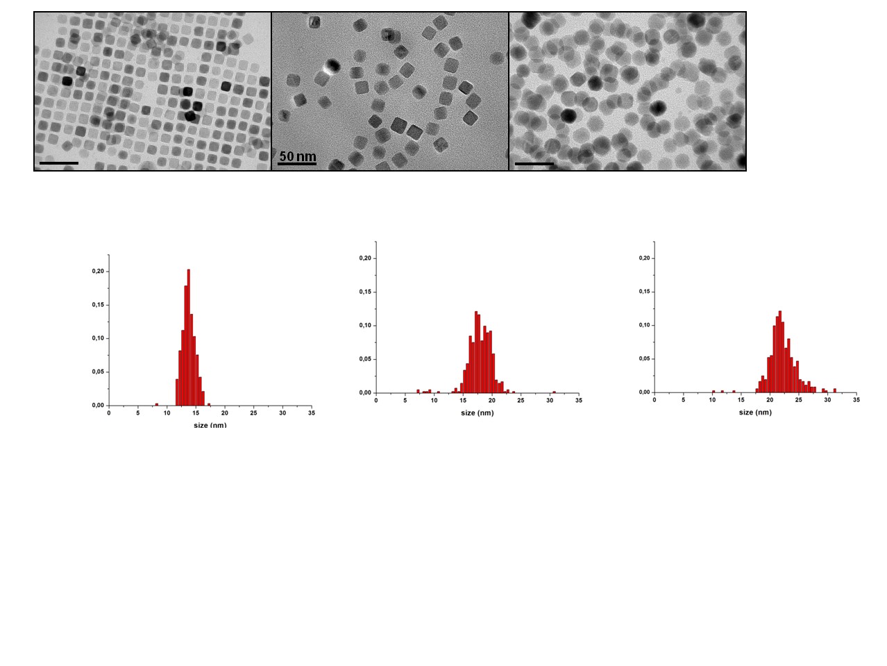 Iron oxide magnetic nanoparticles of controlled sizes.