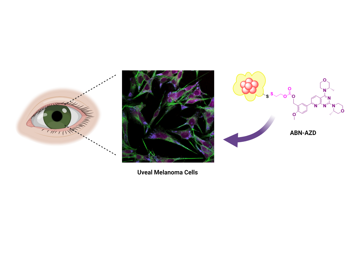 nanomedicine21