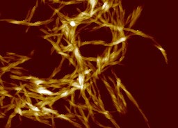 superhelix microscope