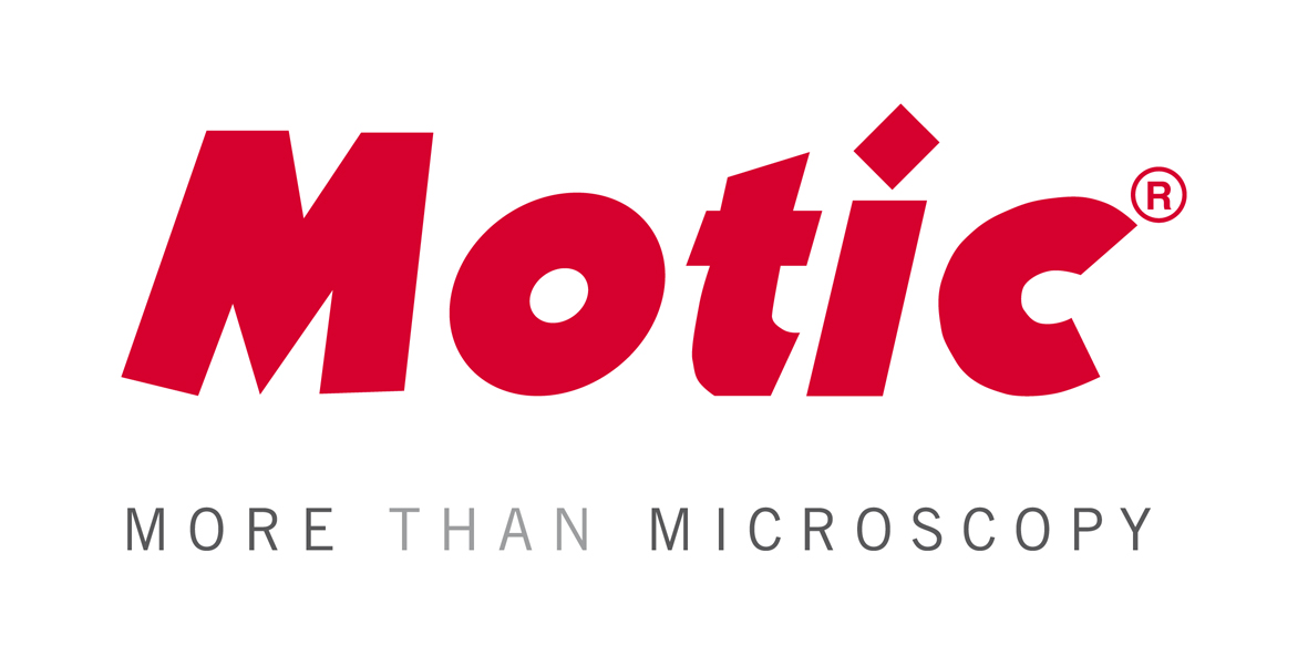 LOGO Motiv