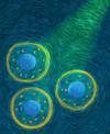 Quantum dots enable the quantification of misfolded proteins within cells to detect pathological signs of ALS